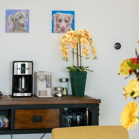 Luxury Oceanview Modern Condo プエルトバラータ エクステリア 写真